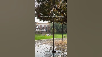 romanticizing a rainy day on the University of Advancing Technology