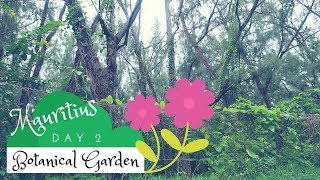 Маврикий / Ботанический сад редких растений / Mauritius - Botanical Garden