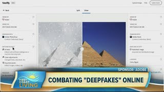 Combating "Deepfakes" Online