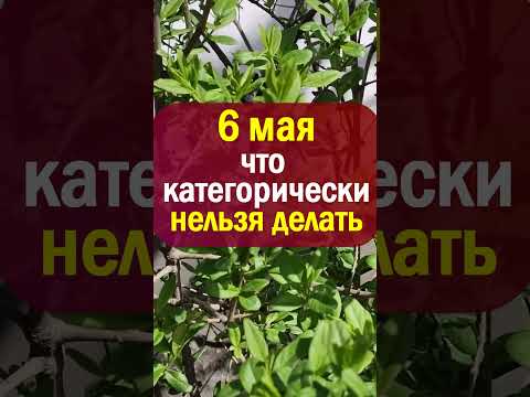 6 мая народный праздник Егорьев день. Что нельзя делать. Народные приметы и традиции, суеверия