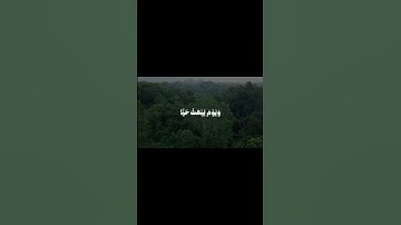 الشيخ محمد الليثي سورة مريم #قرآن #المصحف #اكسبلور