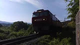 2021年5月29日(1)3052レ EH500ー81牽引 北旭川→隅田川