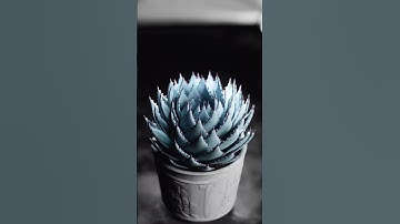 Fibonacci Loop | Blender 3D  |  🌀 | #blender #blender3d #blendertutorial #vfx #fibonacci #shorts