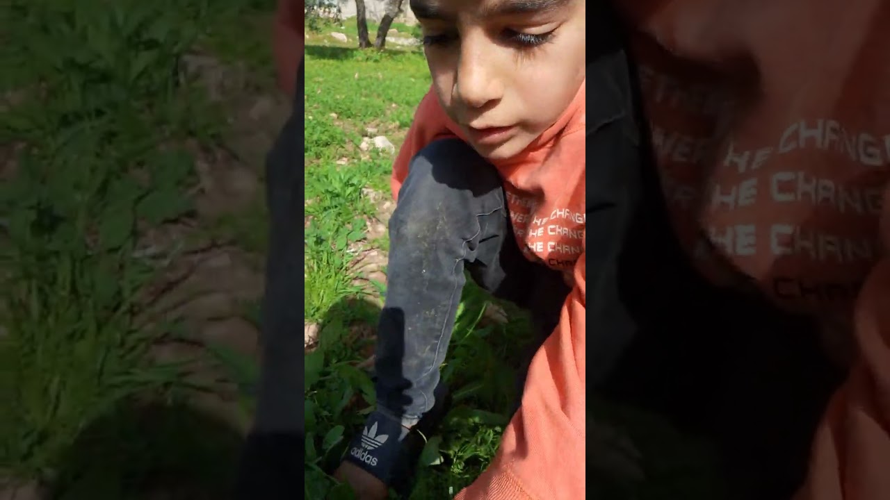 ٣٠ يناير ٢٠٢٦