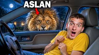 GECE 3'te EVİMİN BAHÇESİNE VAHŞİ ASLAN GİRDİ ?!