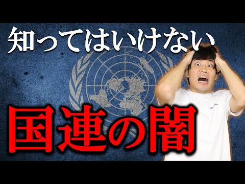 国連は○○の集まりだった…?!日本人の9割が知らない国際連合の正体