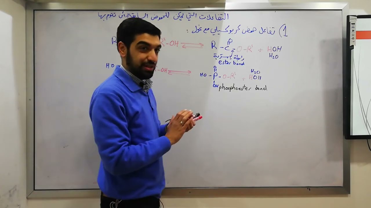 التفاعلات التي يمكن للحموض السابقة أن تقوم بها