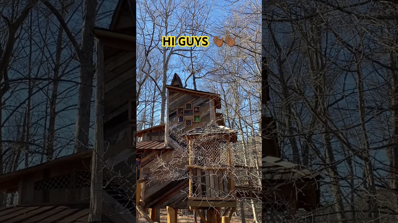 HELP, STUCK up treehouse😬