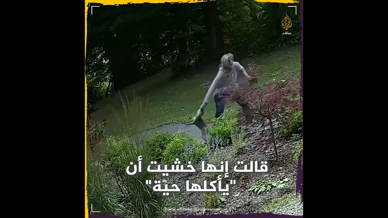 ركلته بشجاعة.. ثعلب مسعور يهاجم امرأة ستينية بلا هوادة في حديقة منزلها