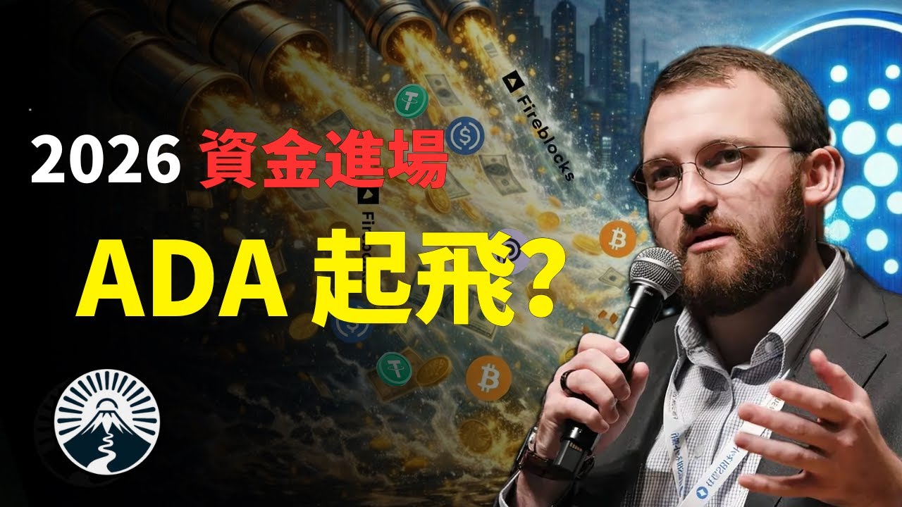 機構資金進場了？Cardano 2026 的關鍵轉折點!