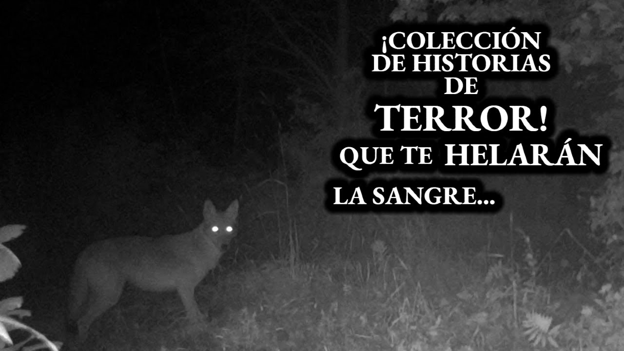 5 VARIADOS RELATOS DE TERROR COMPARTIDOS POR SUSCRIPTORES | Relatos de Terror Reales | Viaje #199