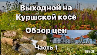 видео: Куршская коса весь берег в мертвой рыбе . Где,что,сколько в Нида и Йодкранте Начало  #таещекулинарка картинка: Куршская коса весь берег в мертвой рыбе . Где,что,сколько в Нида и Йодкранте Начало  #таещекулинарка