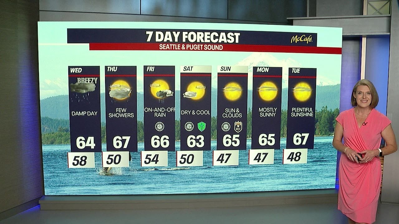 Damp Wednesday, dry and cool into the weekend | FOX 13 Seattle - YouTube