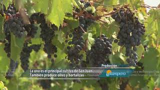 San Juan: producción y desarrollo