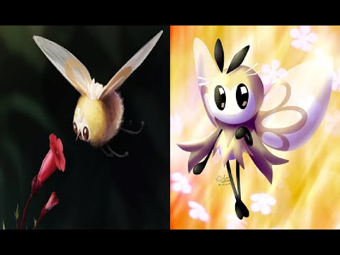 Pokémon: Cutiefly Family Scientific Analysis - YouTube
