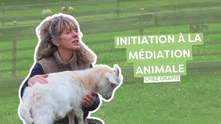 Découvrez la formation "Initiation à la médiation animale" en partenariat avec Okapis