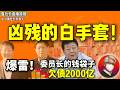 鲁社长：太嚣张了！栗战书后台的2000亿金融帝国，没人敢查？｜刘鹤家族跟栗战书家族的斗争｜一车现金三个亿？现金行贿内幕｜栗战书｜刘鹤｜李兆廷｜栗亚东｜戴永革｜罗玉平｜刘忠田｜田文军