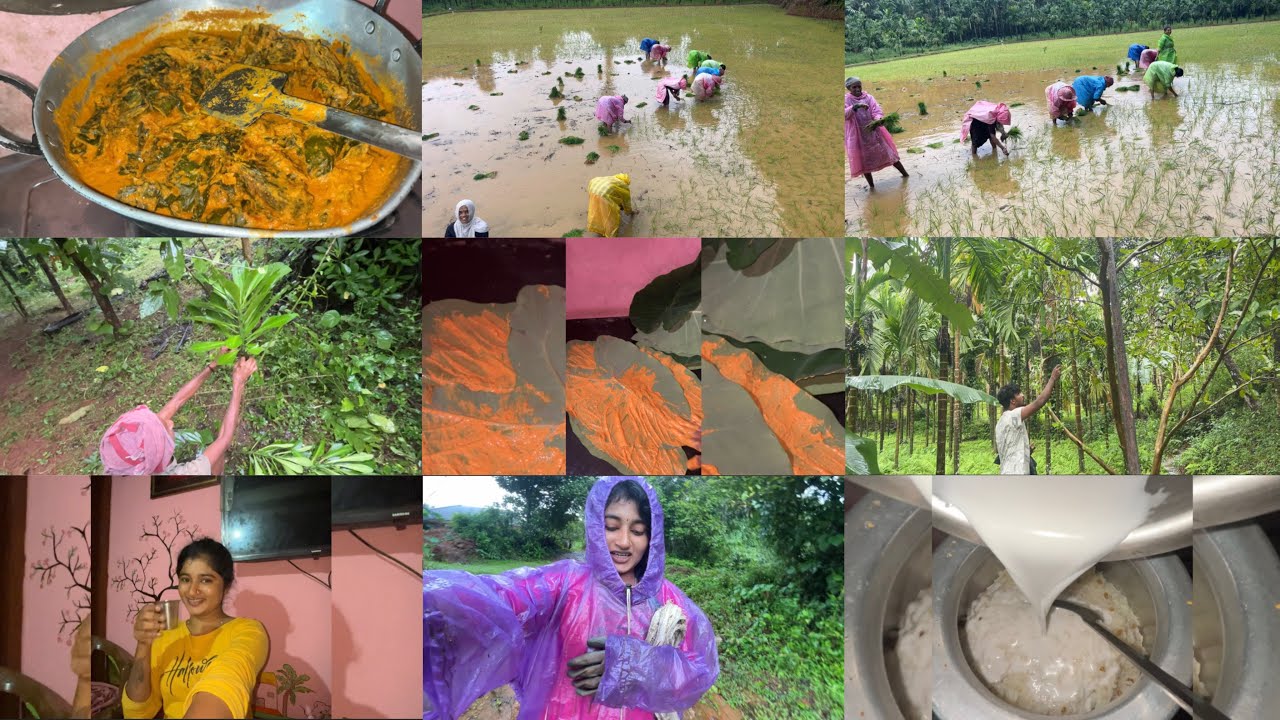 Aatidha amavasyeg yenkleg dada gammath🥳/neji nadpuna porlu🥰♥️