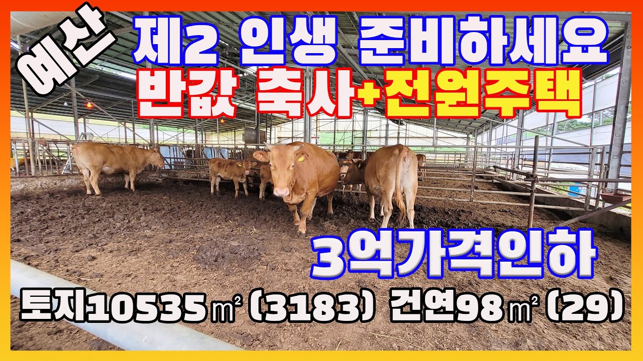 [물건번호3279]충남 예산군 광시면 