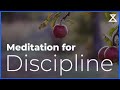 Meditation to Be More Disciplined