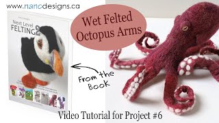 Wet Felting Tutorial for Octopus Arms from the book Next Level Felting 2.