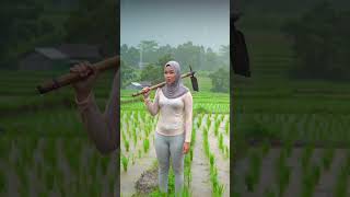 Download Lagu wanita desa dan cangkul nya di sawah #pedesaan #sawah #rainsounds #hujan #shorts MP3