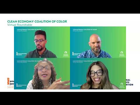 CECC | A.I. Data Centers: Climate Impacts and Energy Use