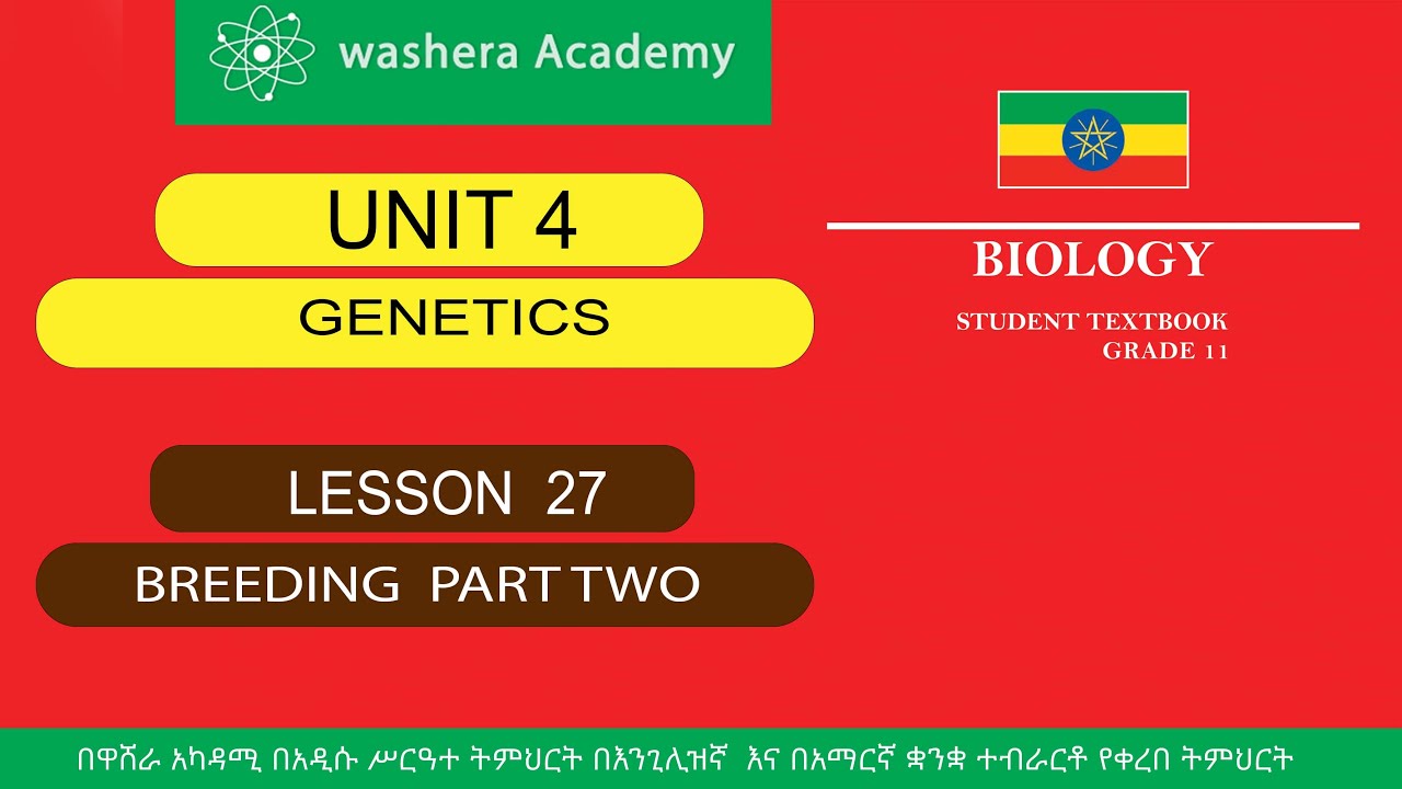 BIOLOGY GRADE 11 UNIT 4 LESSON 27 BREEDING PART TWO - YouTube