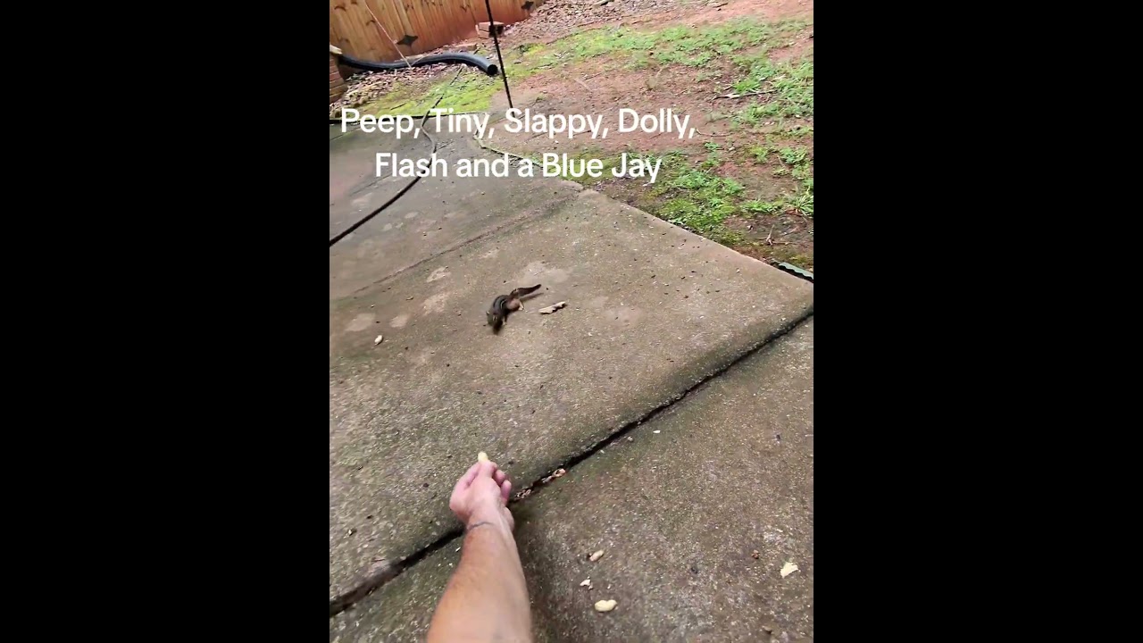 Critter feeding time 😀 