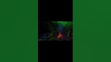 قَالَ رَبِّ إِنِّي وَهَنَ الْعَظْمُ مِنِّي وَاشْتَعَلَ الرَّأْسُ شَيْبًا #سورة_مريم #القرآن_الكريم