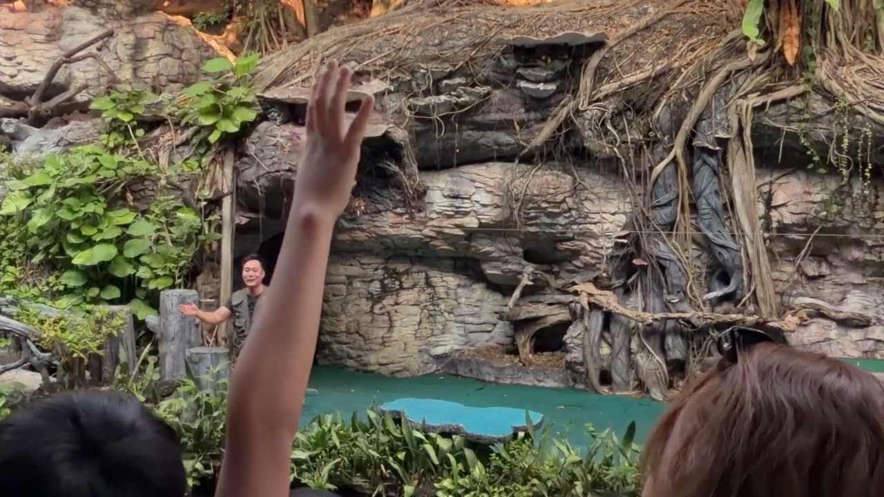 Bird Show | Safari & Marine World | Bangkok, Thailand