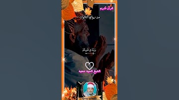 ولكن الله حبب إليكم الإيمان|| #تلاوة_خاشعة #ستوري_قرآن