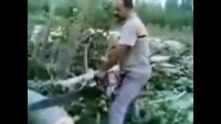 kesi motor aragaz şov