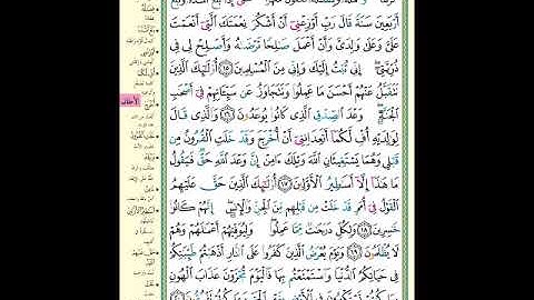 الصفحة (504) من المصحف الشريف ( سورة الأحقاف - مشروع حفظ القرآن الكريم )