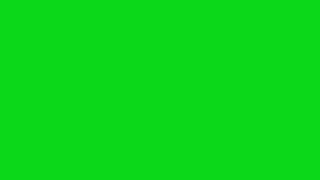 Random Color #0bd81a