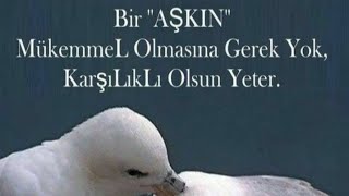 Dini Sözler 🌹Etkileyici Sözler 🌹 Anlamlı Sözler 🌹 Düşündüren Sözler 🌹 Durum Sözleri