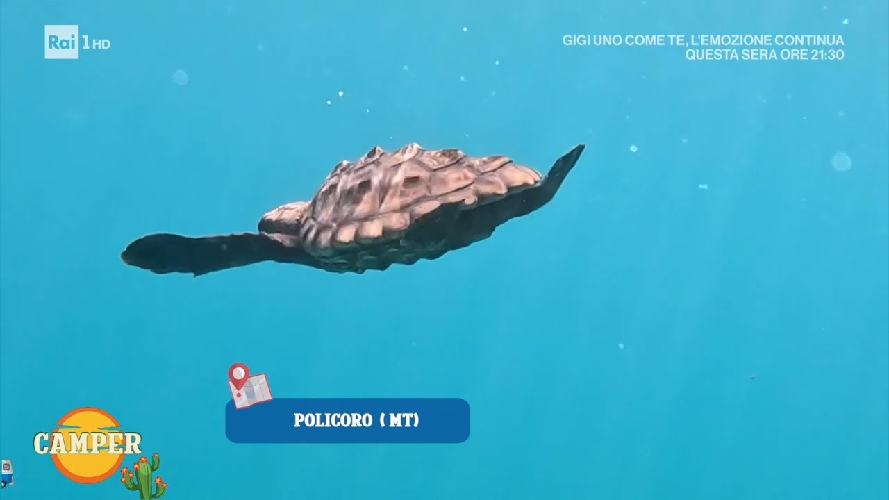 Policoro: il mare della Basilicata jonica - Camper 25/07/2025