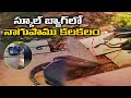 Snake found hiding in student's school bag in Madhya Pradesh, video goes viral