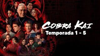 Cobra Kai (TODA LA SERIE): Resumen en 1 Video