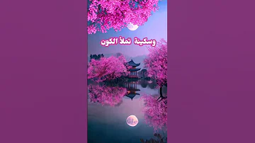 اللهم يارب في هذا المساء اكسبلور تصميمي لايك حالات واتس Shortsvideo Shorts 
