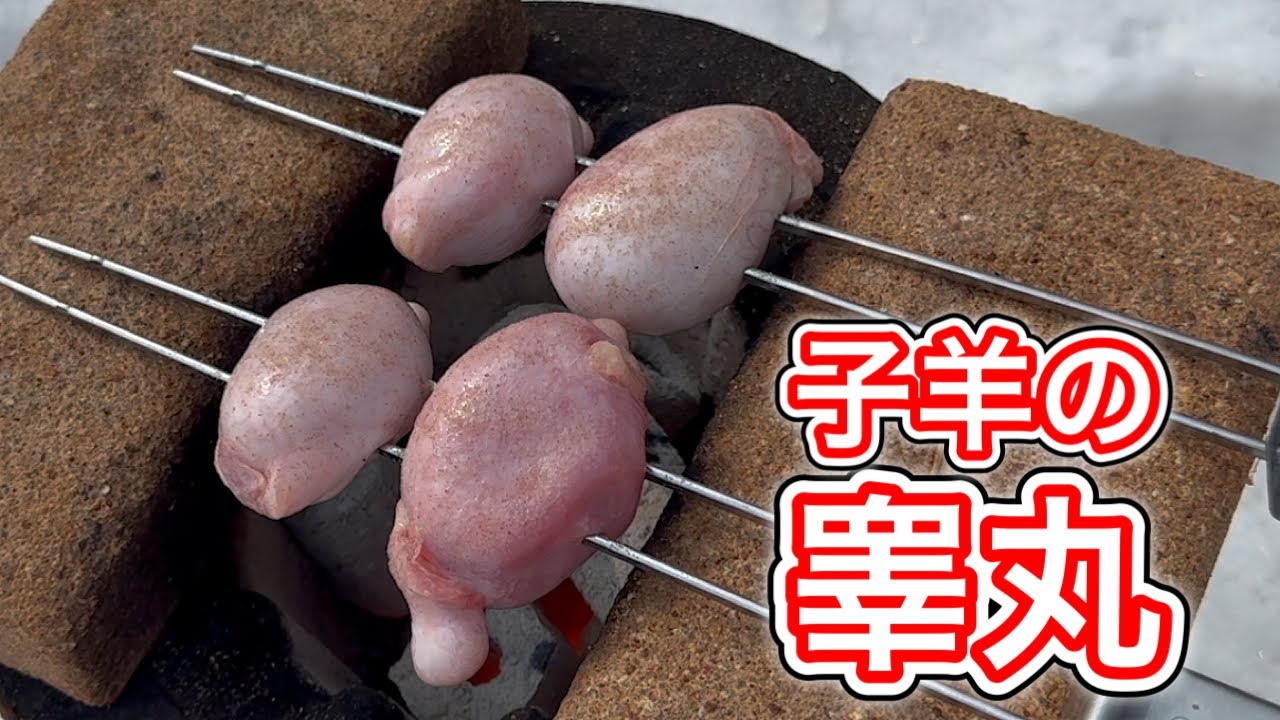 子羊ラムのあれ！