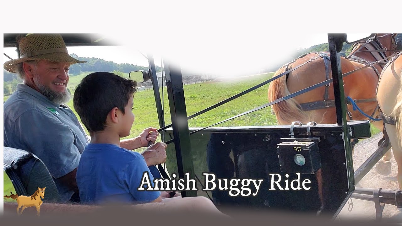 Amish Buggy Ride Amish Village visit Amish People in Ohio State of