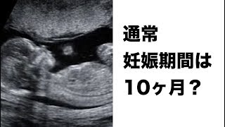 体にまつわるこの10の迷信はもう時代遅れ。7番は迷信で本当に良かった。