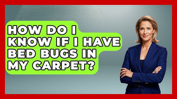 How Do I Know If I Have Bed Bugs In My Carpet? - Insects and Invaders