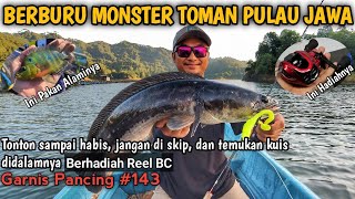 SIAPA SANGKA ADA SARANG RIBUAN IKAN TOMAN DI PULAU JAWA | Casting Toman Waduk Sempor | GP #143