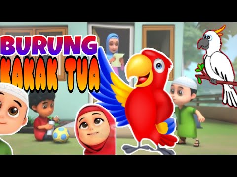 BURUNG KAKATUA Animasi  Lagu Anak  BURUNG KAKAKTUA 