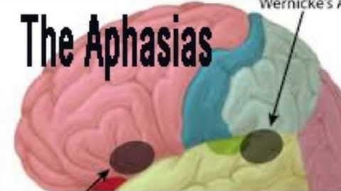 Language Comprehension