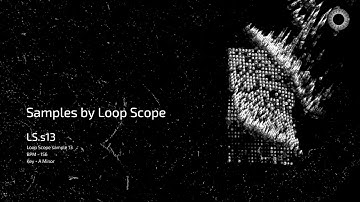 Samples by Loop Scope - LS.s13