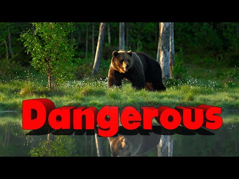 Video: Kamchatka: The Most Dangerous And Mysterious Places Of This Amazing Land - Alternative View