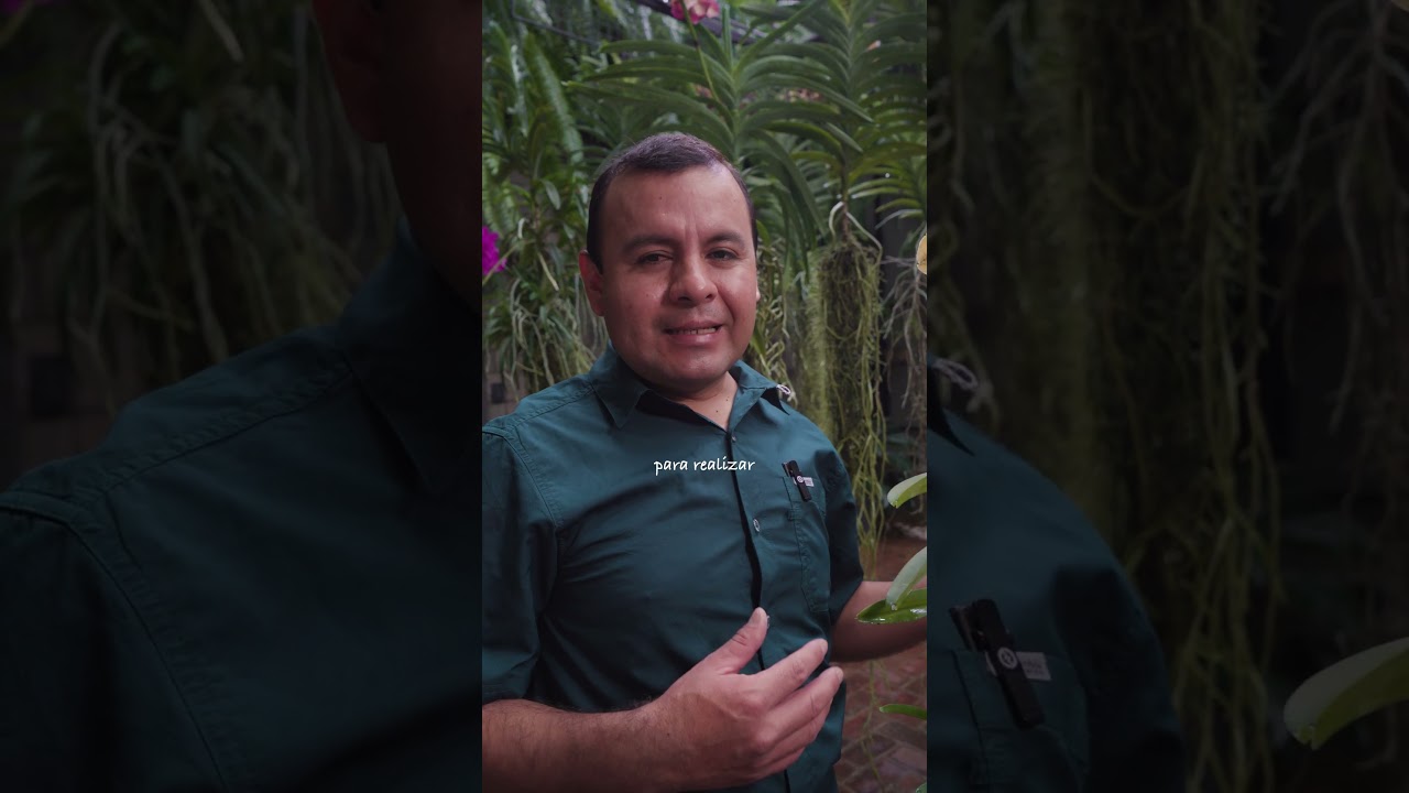 Video para El Orquídeario